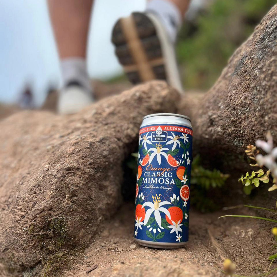 Orange Classic Mimosa